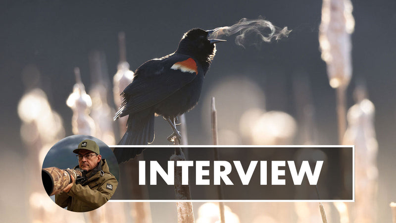 Interview with Wildlife Photographer Simon D'Entremont
